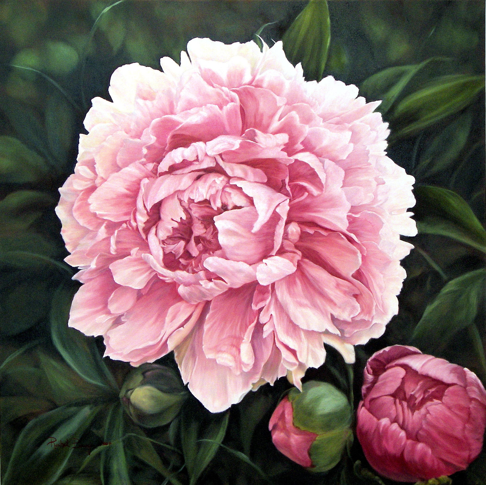 peony.jpg